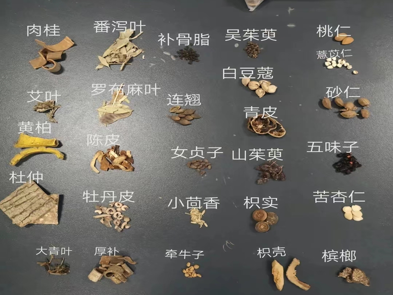 中药材仓储物流，必要崛起