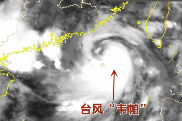 台风“韦帕” 台风“韦帕”